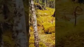 Challenging hike in Norway 2024 Timelapse #vlogs #travel #landscapesofnorway #norway #norwaytravel