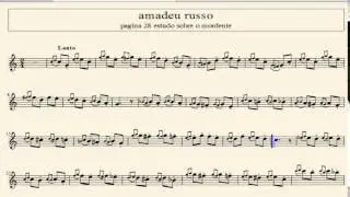amadeu russo pagina 28 estudo sobre o mordente