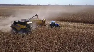 Smart dealer: la atención personalizada de New Holland en Grosso Tractores