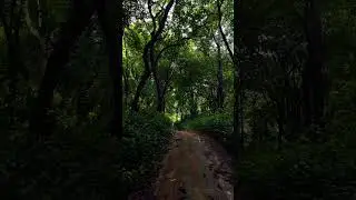 Unexplored spots in kollam 😍