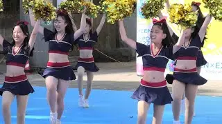 【Bリーグチア】第30回都筑区民まつり・チアフォーマンス①　20241103