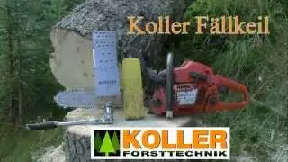Starkholzfällung ohne Koller Fällkeil