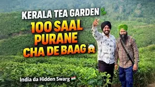 Exploring 100-Year-Old Tea Plantations in Kerala || British Era History Vlog || Bhattivlogs2829