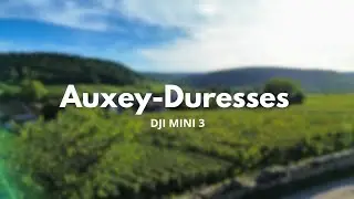 Auxey-Duresses | Le vignoble vue du ciel 