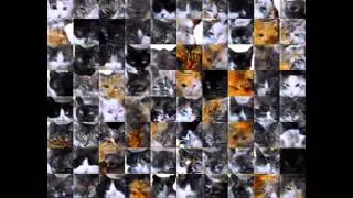 Neural Network learning to generate cat images (model G32up-c)