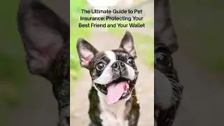 Is pet insurance worth it for you?  Read more to decide!