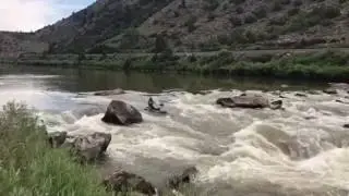 Paddleboard down Rodeo Rapid