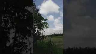 Beautiful sky | Apna bihar | Nile Nile ambar par song