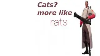 hey medic i like cats