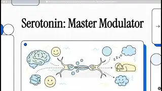 Pouhamzehetal 2021 Serotonin and PsychiatrySerotonin  Master Modulator
