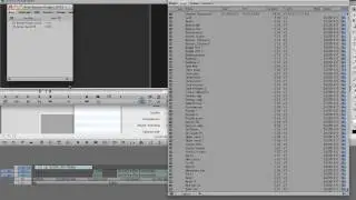 Customizing Your Avid Bin