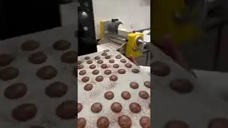 Hop Direction Le Four Pour Nos Macarons Au Chocolat S&egrave;ve #pastryseve #artisan #chocola 331