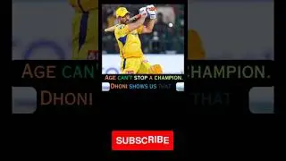 MS Dhoni #shorts#shortsfeed#youtuneshorts#ipl#ipl2023#ipllatest#msd#msdhoni#msdfanclub#csk #cskfans
