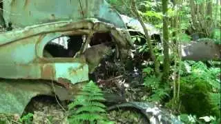 Old abandoned car in the forest