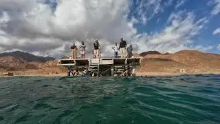 2238 - Tigerreef - 31122025