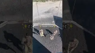 Why did I join the Army?