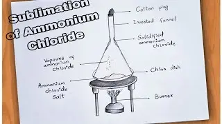 How To Draw Sublimation Of Ammonium Chloride Step By Step | Sublimation Of Ammonium Chloride Drawing