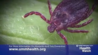 Health Watch: Child Safety Tips