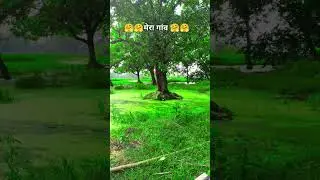 #song #hindisong #bollywood #village #music #shorts #viral #video #nature