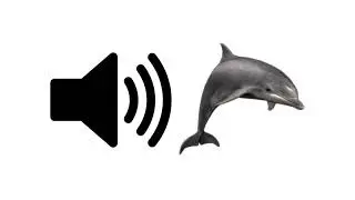 Dolphin - Sound Effect | ProSounds
