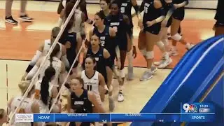 New Haven vs. NMSU volleyball highlights