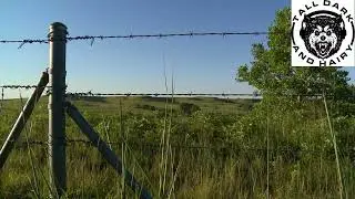 Bigfoot Encounter Story Atlanta, Texas in 2004