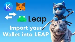 Importing Your Keplr or Metamask Wallet into Leap