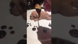 Doggy dessert
