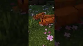 Девочка в Minecraft 🌸 | Изучаю мир  #Minecraft #minecraftshorts #minecraftmemes #minecraftlive