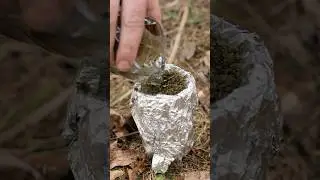 SURVIVAL bushcraft Skills: Tea filter for field conditions. #lifehacks #camping #survival