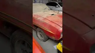 Pontiac gold! The judge! #pontiac #gto #judge #shorts