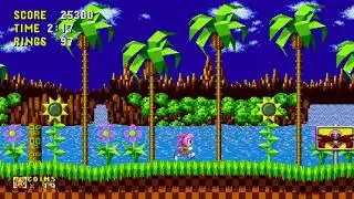 Sonic The Hedgehog (Amy)
