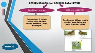 Reproduksi Hewan