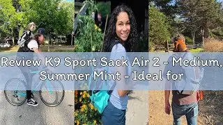 Review K9 Sport Sack Air 2 - Medium, Summer Mint - Ideal for Dogs with 17-19” Back Length - Durable,