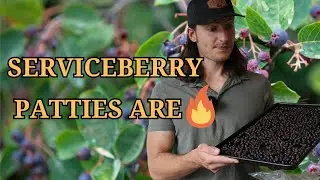 The BEST Way to Preserve Serviceberries [Lasts for Months!]