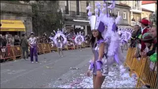 Desfile de Carnaval Pontevedra 2013 - Comparsa Os Parrulos de Marín