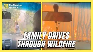 Family Drives Through Flames As They Flee Chile Wildfire