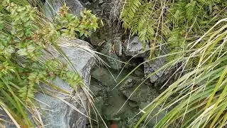 Red Tarns Track