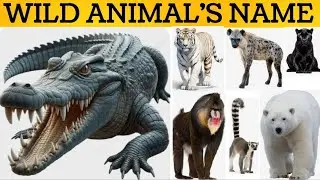 जंगली जानवरों के नाम सीखे । Wild Animal's Name In Hindi And English For Kids Learning Video #animals