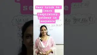 Easy Trick To Learn Respiratory Pathway in Sequence
