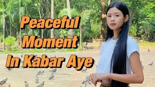 Why Visit Kabaraye Pagoda? Traditions & Giant Fish in Myanmar. (Burma)