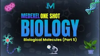 BIOLOGICAL MOLECULES PART 5 BY DR UMER | NMDCAT , NUMS AKU | MedExel