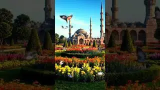 A Mosque Surrounded by Flowers | Beauty, Peace & Islamic Architecture
