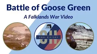 The Battle of Goose Green: 656 Sqn Army Air Corps in the Falklands War