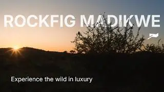Rockfig Madikwe