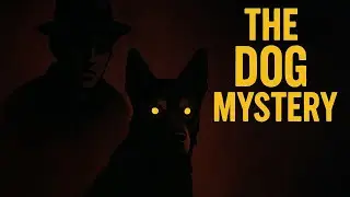 The Creepy Dog Mystery Explained in 12 Minutes