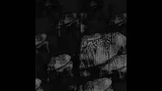 CRRDR - Paraphernalia