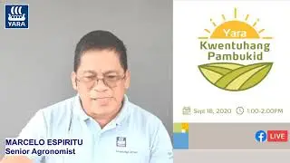 YKP33 Crop Nutrition in Tobacco