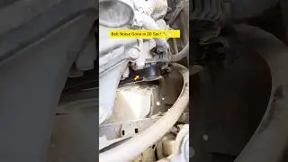Belt Noise Gone in 20 Seconds #CarHack #WD40Fix #BeltNoise #QuickFix #DIYCarRepair #AutoTips #shorts