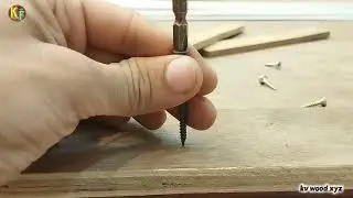 Top 3 unknown secret tips for screw right way for screw tips help for carpenter and wood worker